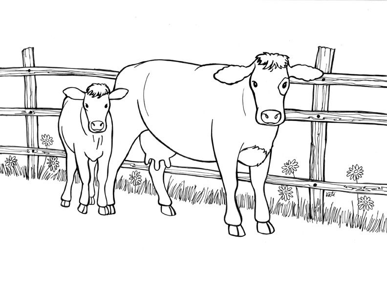 planse desene de colorat vaca vitel taur bou